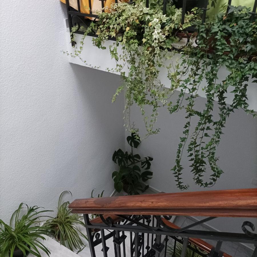 Medina Baguh Apartment ปรีเอโก เด กอร์โดบา ภายนอก รูปภาพ