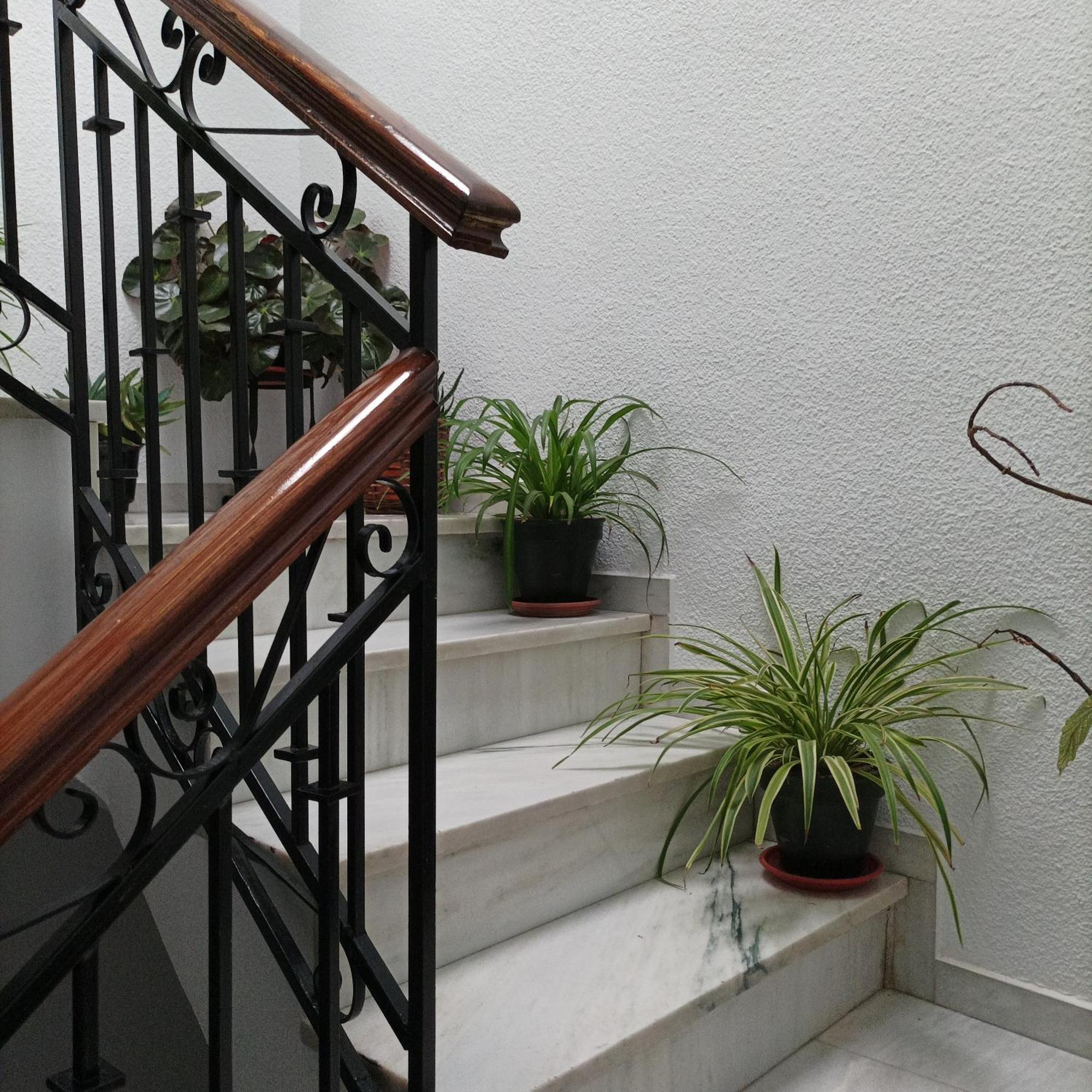 Medina Baguh Apartment ปรีเอโก เด กอร์โดบา ห้อง รูปภาพ